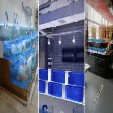 免烫高支棉条纹衬衣